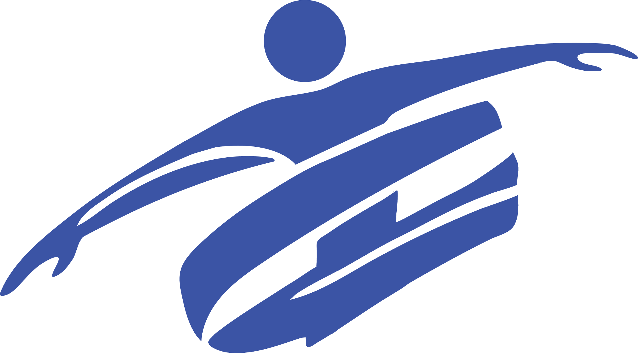 Pro Balance Bands Logo in Blue